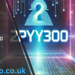 2pyy300