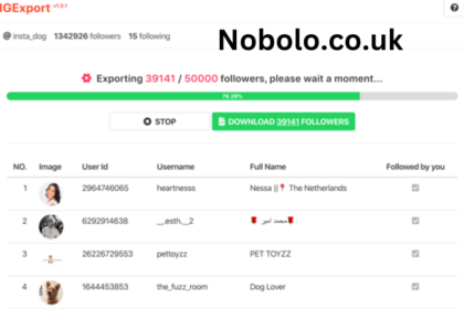 IG Follower Export Tool